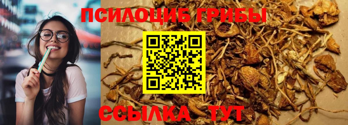 Биробиджан  Псилоцибиновые грибы Psilocybine cubensis  Вход с VPN  Галлюциногенные грибы прущие грибы 
