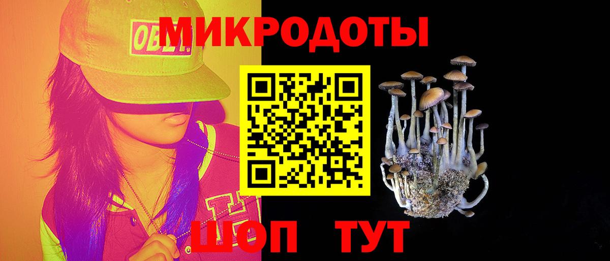 Псилоцибиновые грибы мухоморы Биробиджан